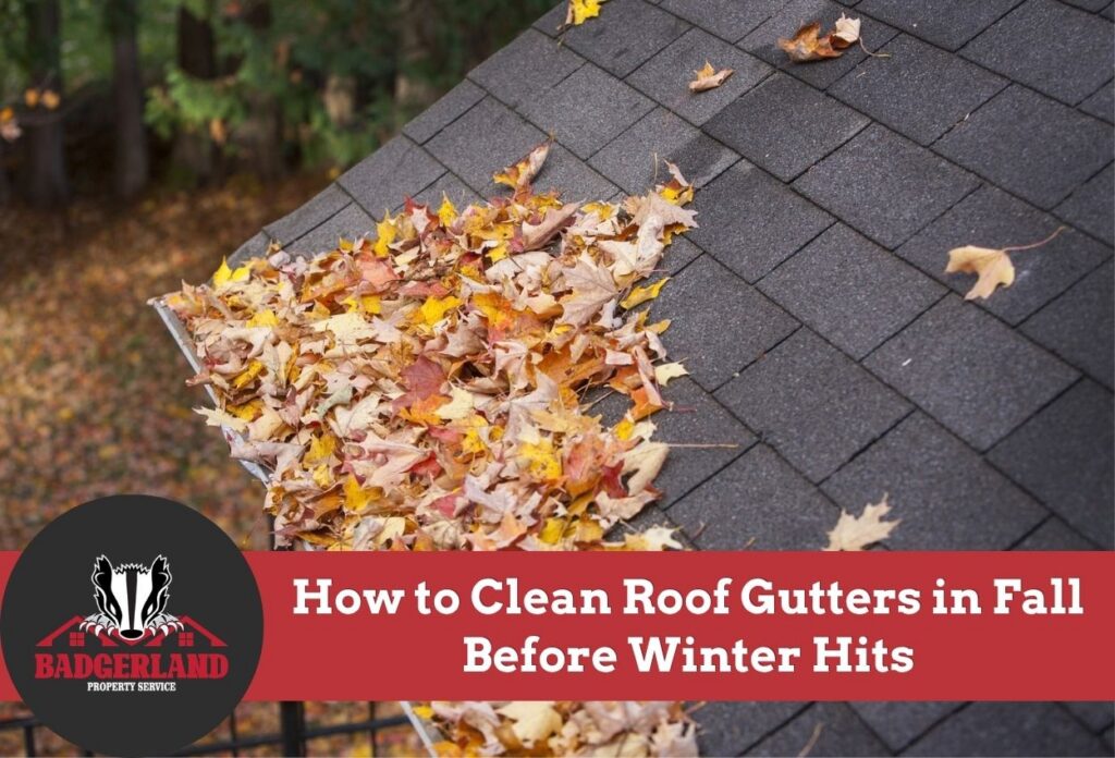 Fall leaves filling a roof gutter that needs cleaning.