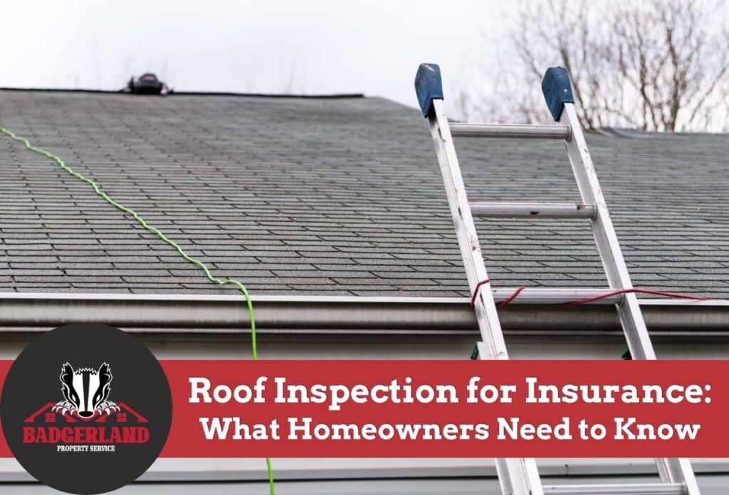 Ladder leaning on a roof during an inspection for homeowners' insurance.